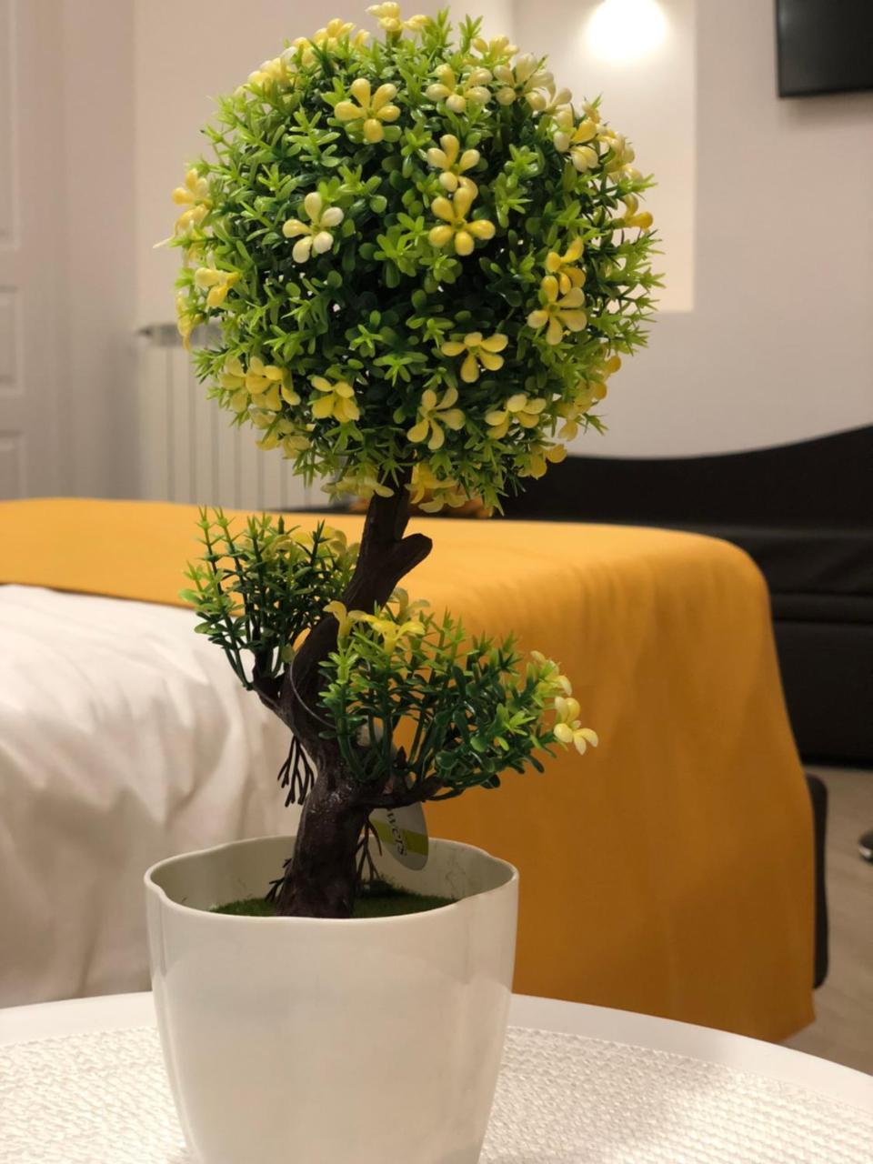 Domo B&B Naples Luaran gambar